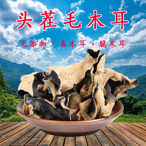 毛木耳黑木耳脆木耳大木耳500g地耳头茬干货四川肉厚木耳干火锅