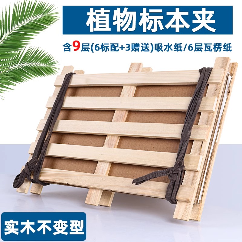 植物标本夹大号全套腊叶压制标本制作材料工具树叶植株夹板压板保存夹生物自然实验器材吸水纸瓦楞纸