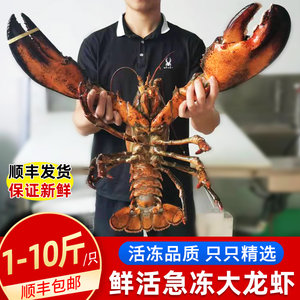 鲜活急冻特大深海大龙虾