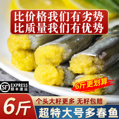满籽多春鱼烧烤食材新鲜冷冻顺丰