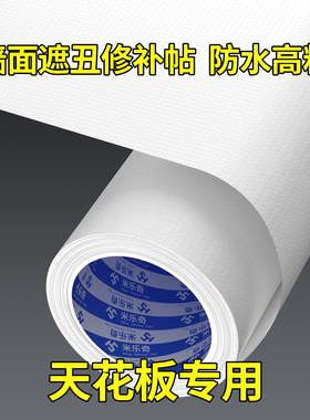 天花板房顶掉皮修补遮挡贴纸墙面洞眼返潮发霉遮掩贴墙壁装饰墙纸