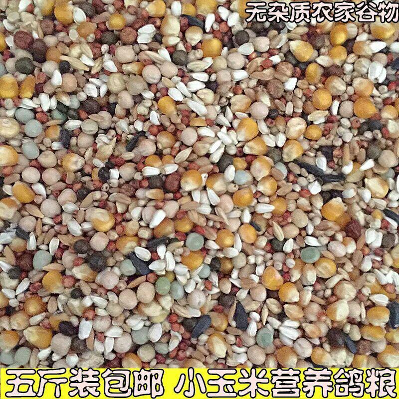 包邮5斤装鸽飞弘有小玉米鸽粮赛飞营养饲料鸟食信鸽观-鸽饲料(青睐家居专营店仅售23.5元)