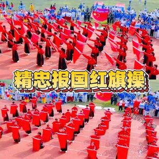 强军战歌七剑战歌中国范红星闪闪精忠报国旗子运动会开幕式道具旗
