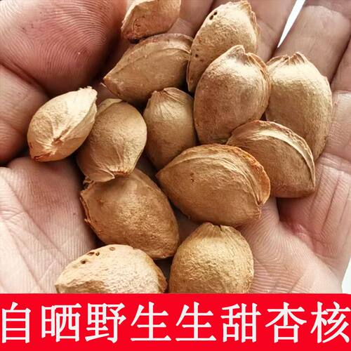 2025年新甜杏仁仁用杏仁生杏核未开口无水洗原色原味雕刻杏核