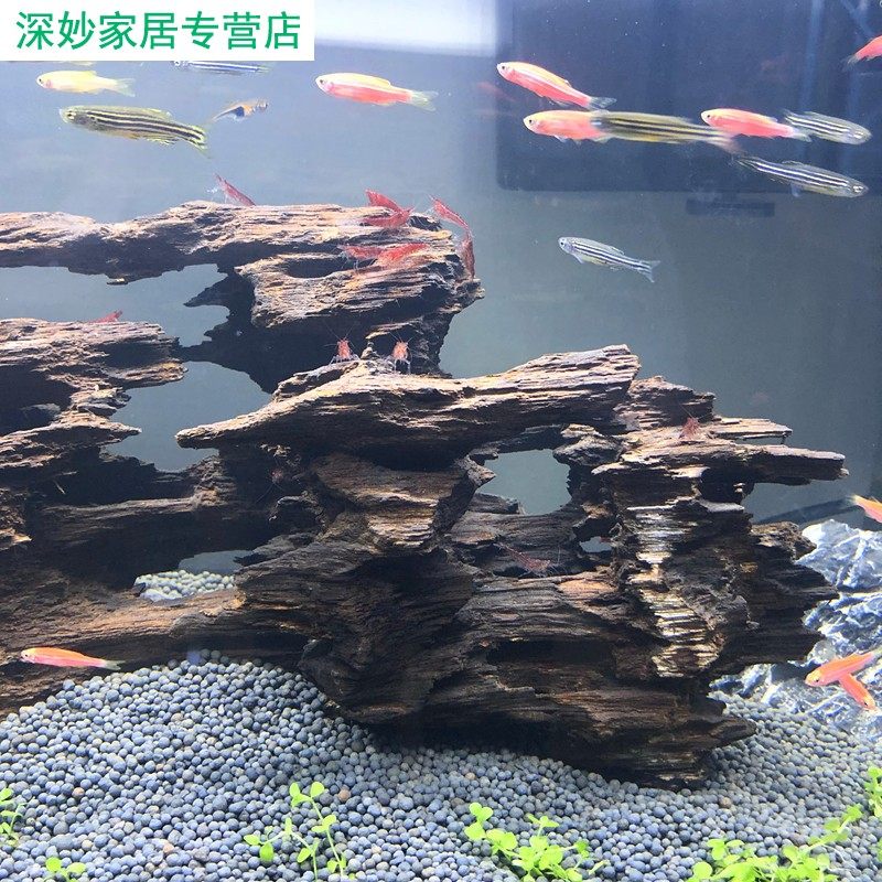 小鱼躲避屋沉木躲避洞鱼缸小鱼虾窝虾五三湖慈鲷鱼孔雀鱼繁殖鱼窝