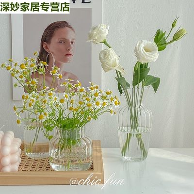 网红花瓶ins风玻璃透明北欧郁金香水培鲜花客厅插花装饰小众摆件