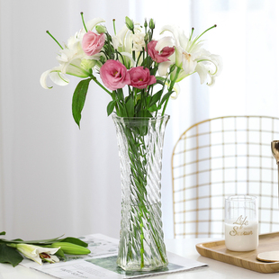 特大号透明水养富贵竹花瓶客厅家用插花盆摆件 玻璃花瓶 两件套