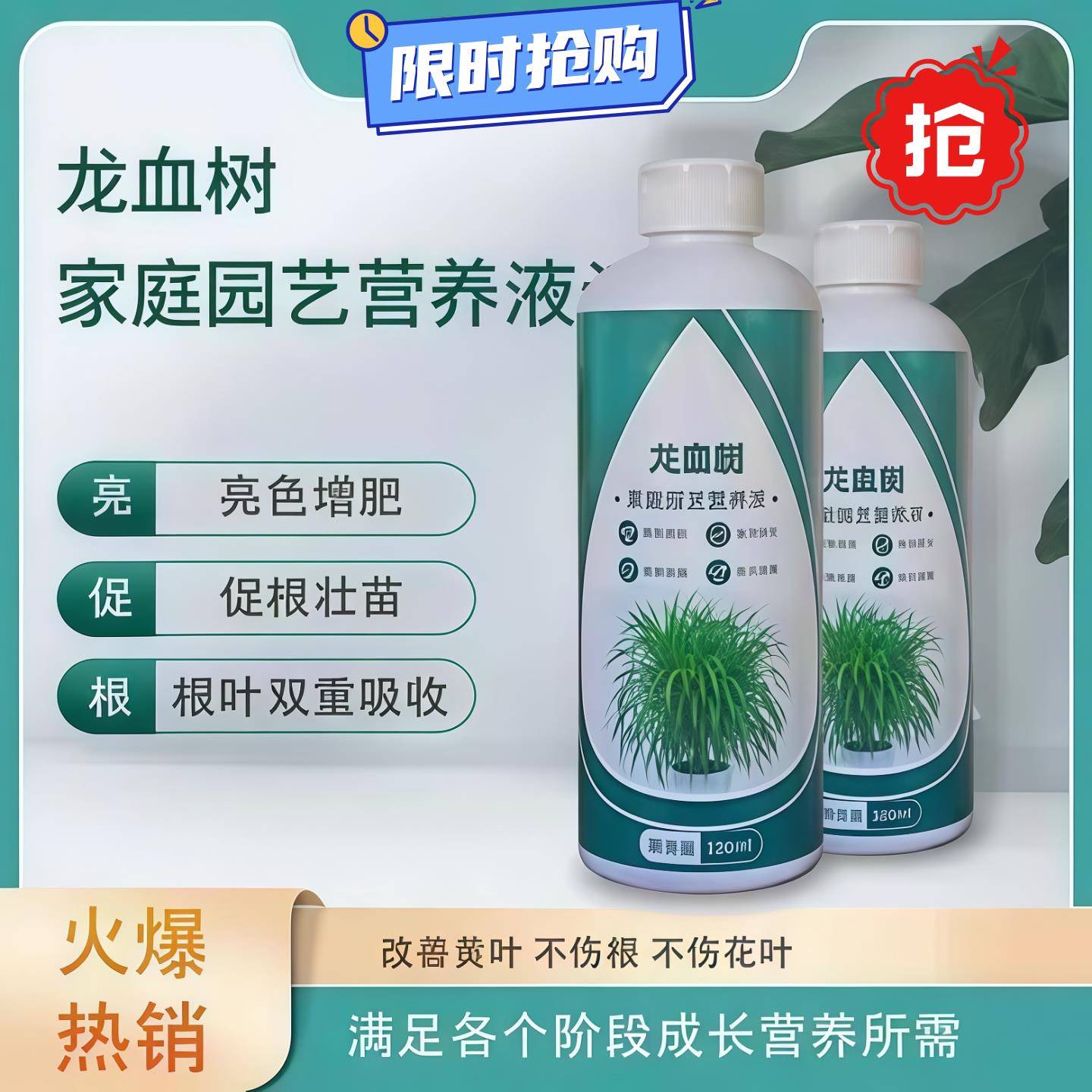 龙血树专用肥幸福树专用肥料营养液龙须室内盆栽黄叶植物干尖通用