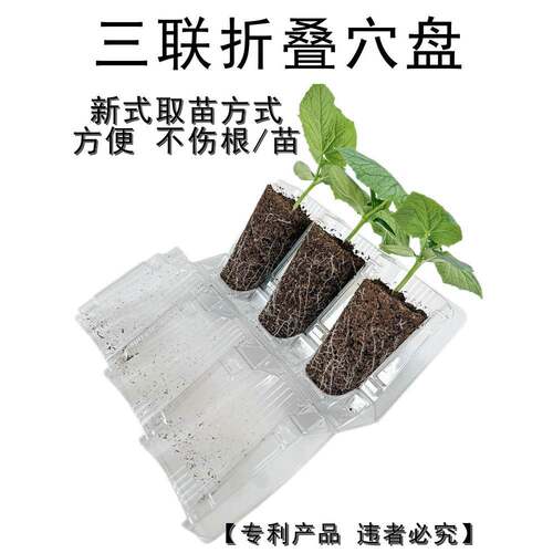 三折叠塞盘播种切割苗圃花插叶栽培高深度容器育种可重覆使用