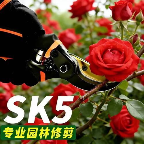 进口SK5德国工具修枝剪园艺剪日本大号枝剪子花木枝原装园林修