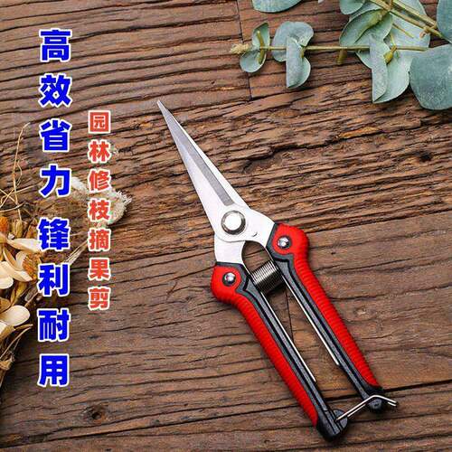 加厚不锈钢省力修枝剪稀果剪 葡萄剪摘花椒摘火龙果蔬菜农用工具