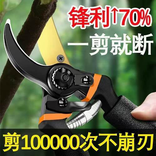 强力SK5修剪树枝剪果枝剪花枝剪修枝剪粗枝剪剪花枝园林园艺剪刀
