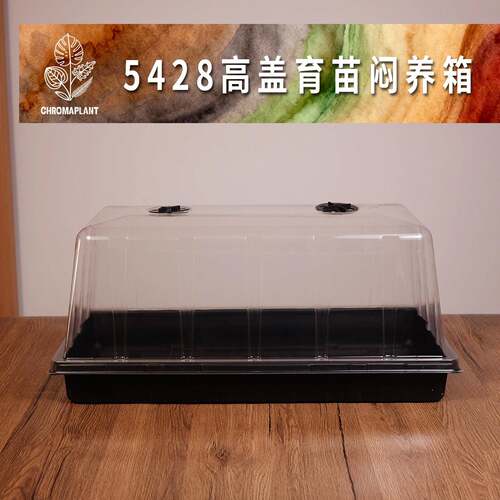育苗盘箱特大号加深水培土培穴盘大号多功能扦插育种子保温闷养箱