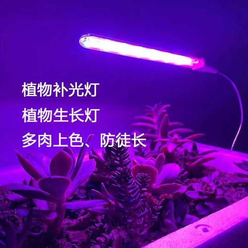 植物补光灯生长灯多肉上色助长全光谱led灯USB长条灯管家用植物灯
