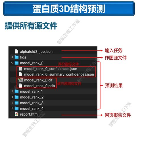蛋白质3D结构预测/AlphaFold2&3服务/相互作用预测