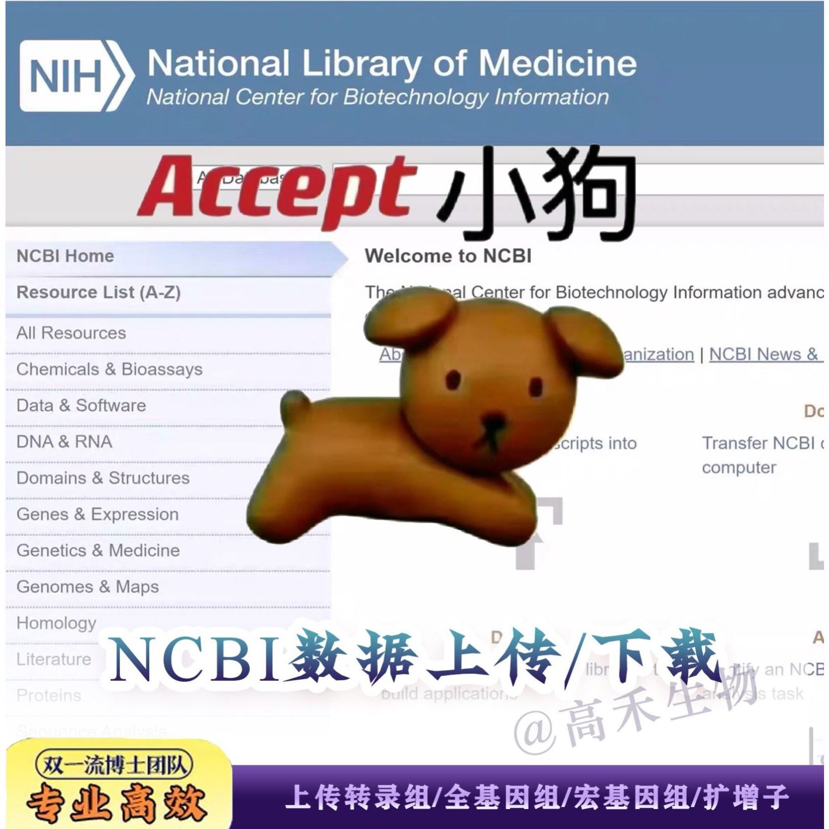 NCBI数据上传下载SRA/GEO/genbank/bankit 基因/转录/代谢/扩增子