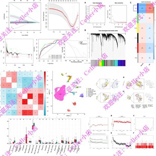 孟德尔随机化中介肠道菌群炎症因子代谢物联合TCGA单细胞 核心SCI