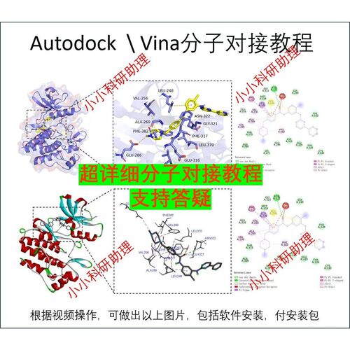 蛋白药物分子对接教程