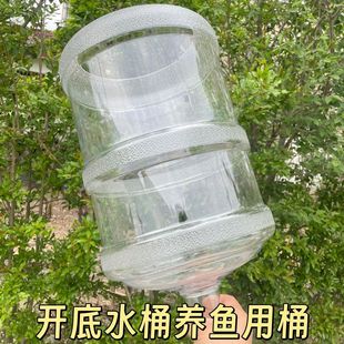 矿泉水桶养鱼水桶饮水机白色水桶鱼缸自制创意改造纯净水桶透明桶