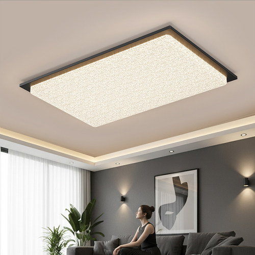 2025新款轻奢高级感客厅吸顶灯