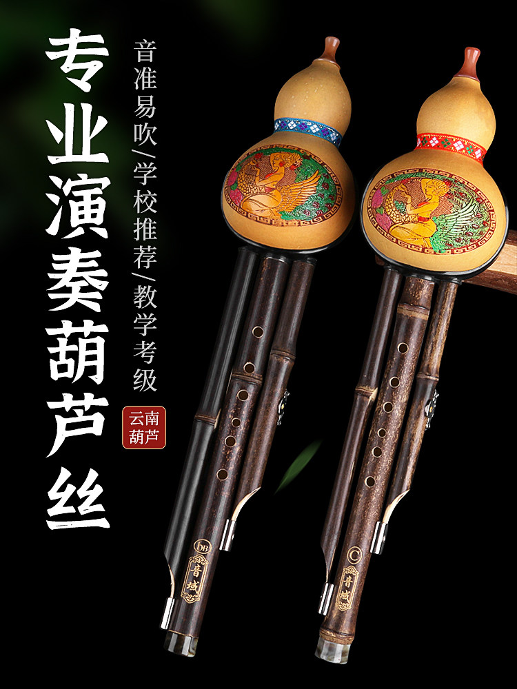 九孔葫芦丝b调高级紫竹c调小学生专业民族乐器初学者演奏,乐器/吉他/钢琴/配件,葫芦丝,淘宝优惠券,粉丝福利购,淘宝优惠卷