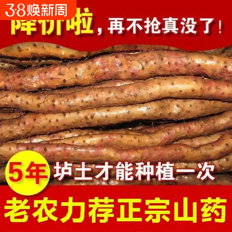 正宗铁棍山药新鲜铁杆怀山药农家山药铁棍批发中药材