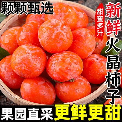 火晶柿子新鲜当季水果整箱包邮应季软甜蜜小柿子特产非脆柿子