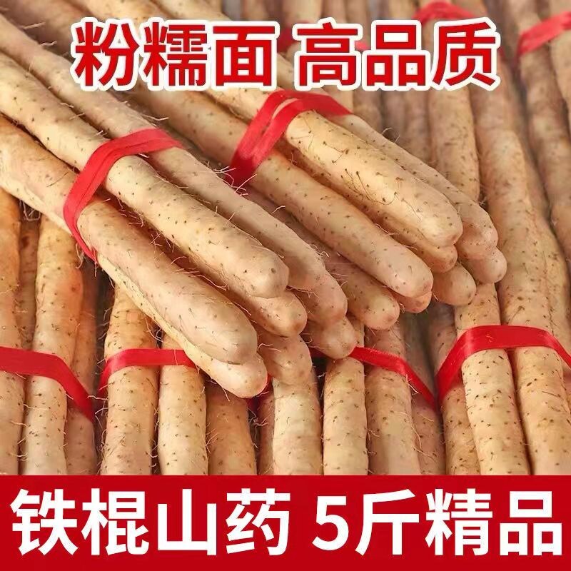 新鲜铁棍山药粉糯淮山药现挖河北小白嘴铁杆山约非温县垆土怀山