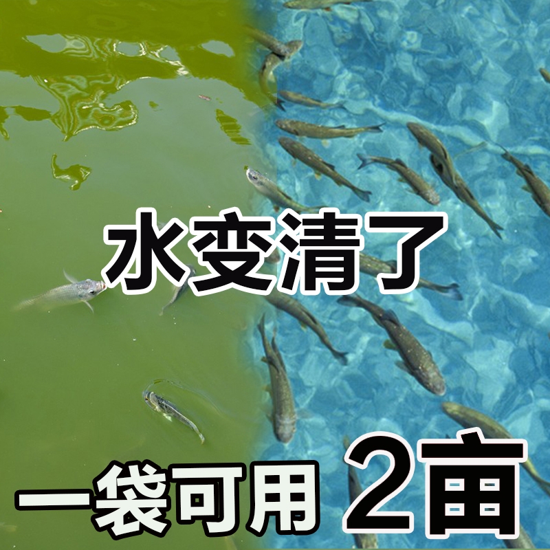 鱼塘净水池塘变清水改底解毒杀菌