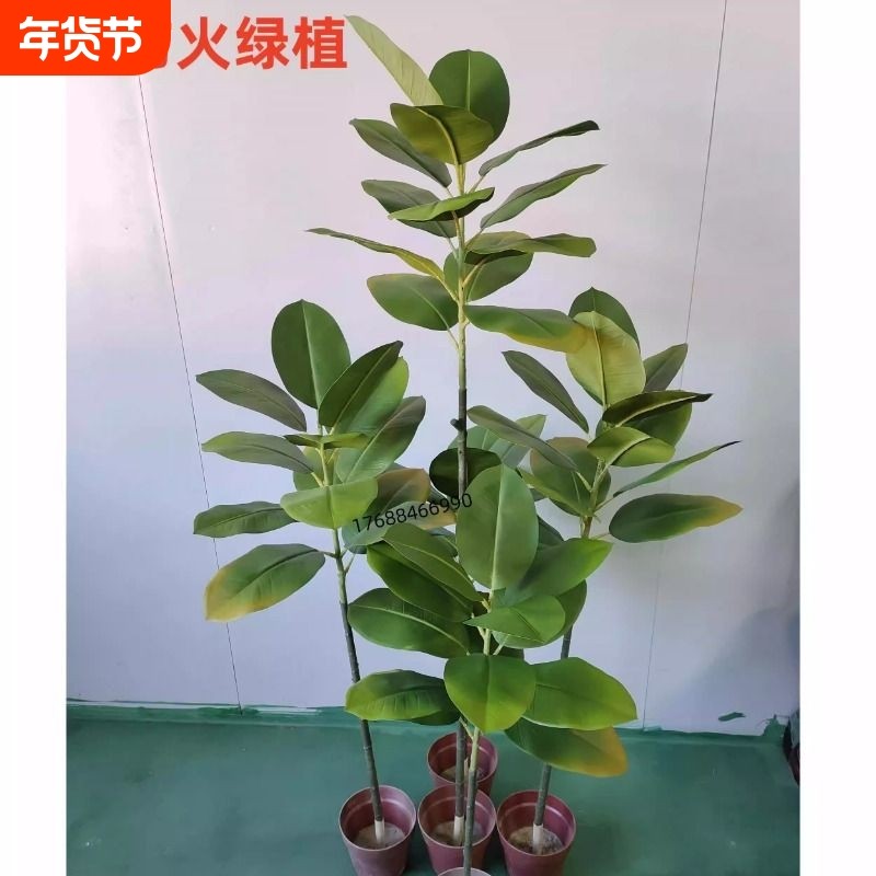 B1级仿真橡皮树叶防火大绿植花艺装饰室内酒店落地装饰大叶子假叶