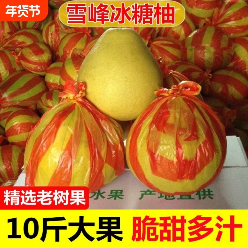 湖南怀化雪峰山冰糖柚子安江小柚子新鲜水果白心苦柚老树土柚药柚,水产肉类/新鲜蔬果/熟食,柚子,淘宝优惠券,粉丝福利购,淘宝优惠卷