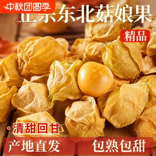 正宗东北姑娘果新鲜菇娘果灯笼果水果现摘黄菇娘灯笼果薄皮甜整箱