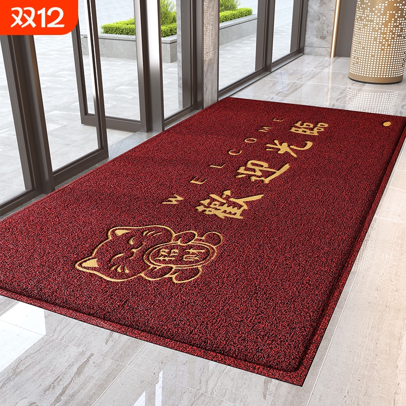 丝圈加密款进门防滑地垫