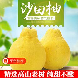 纯甜正宗梅州沙田柚柚子广东金柚白心肉当季孕妇新鲜水果包邮香甜