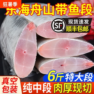 新鲜带鱼中段冷冻刀鱼段大号深海鱼鲜活海鲜水产冰鲜去头尾带鱼段