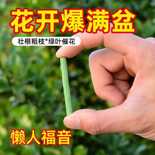 植物缓释营养棒植物通用型复合肥