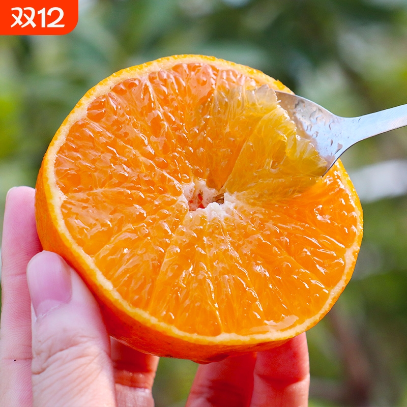 【彩箱精品】正宗四川爱媛38号果冻橙水果新鲜应当季橙子整箱现摘