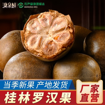 广西桂林永福特产罗汉果独立小包装罗汉果干果泡茶散装罗汉果大果