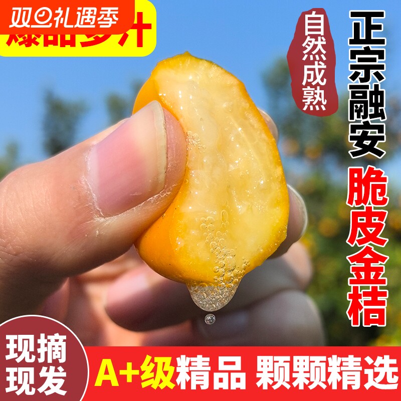 广西融安脆皮金桔新鲜甜蜜金桔应季水果孕妇脆滑皮金桔纯甜5A果王