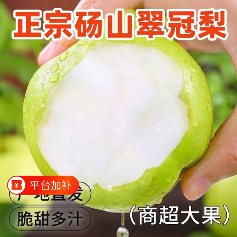 梨子新鲜水果砀山青梨皇冠梨当季翠冠梨香酥脆蜜早雪梨包邮