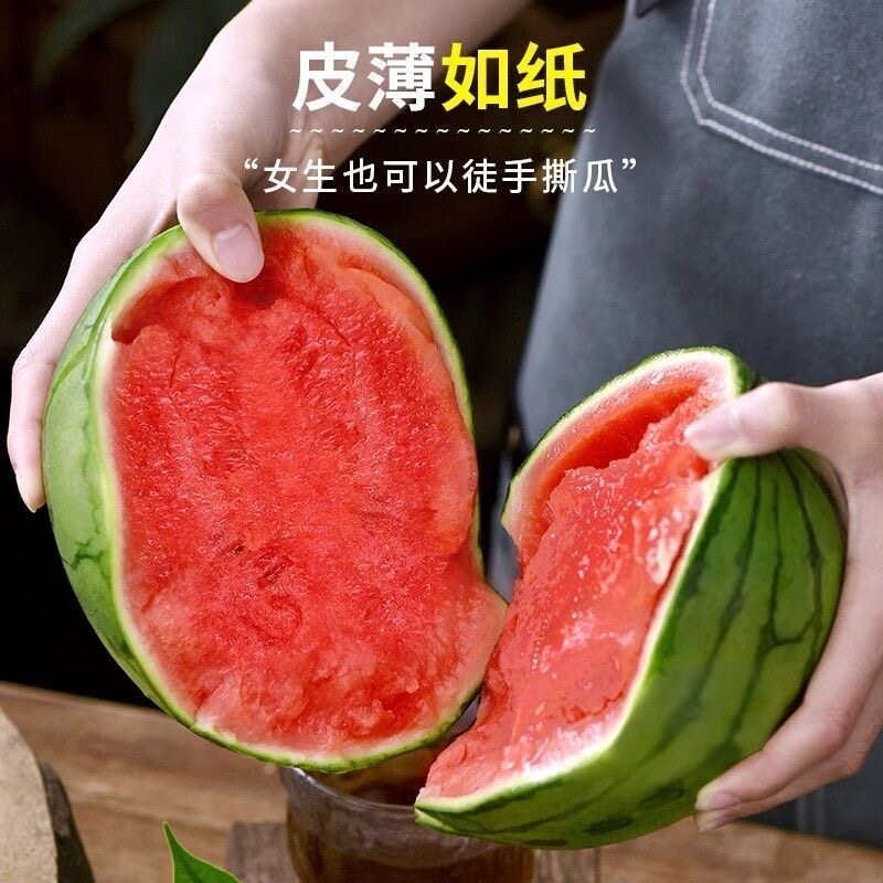 精品现摘新鲜小西瓜手剥薄皮西瓜当季新鲜多汁脆甜小吊瓜糖丸甜蜜