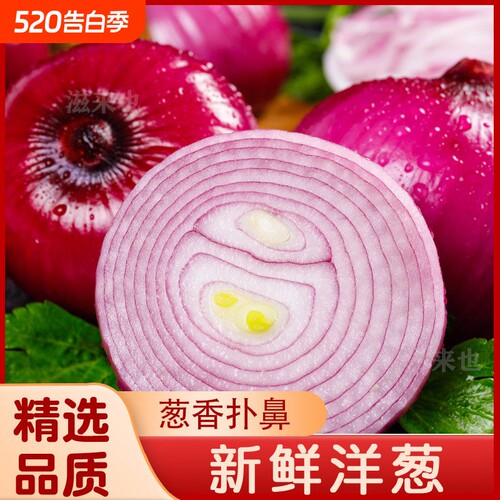 2026产地新鲜现挖紫皮洋葱脆嫩多汁当季圆葱生吃辛辣凉拌批发包邮