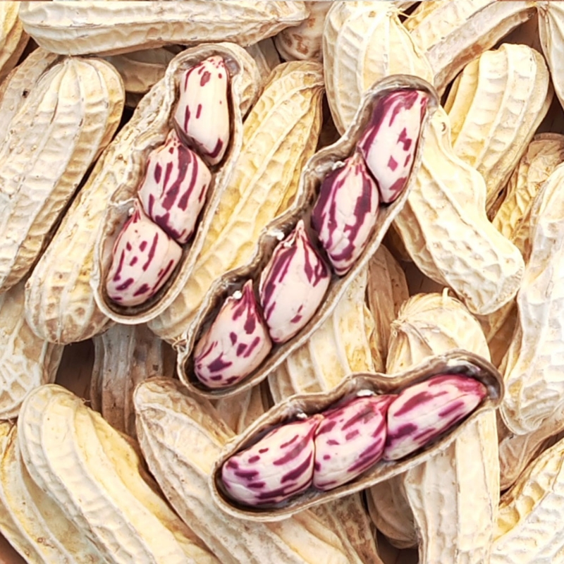 七彩晒干花生零食|超4000次加购
