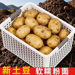 土豆贵州特产威宁黄心米拉洋芋新鲜高山老品种黄皮马铃薯十斤