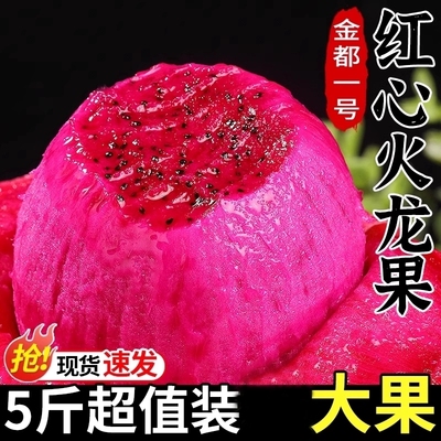 新鲜红心火龙果金都一号5斤大果现摘现发超甜当季水果树熟整箱