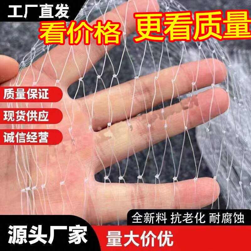尼龙防鸟网果树果园大棚防护网樱桃树葡萄树鱼塘养殖阳台防鸟神器