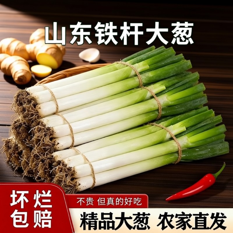 正宗铁杆大葱新鲜现挖实惠蔬菜脆甜微辣农家健康家庭必备,水产肉类/新鲜蔬果/熟食,葱类,淘宝优惠券,粉丝福利购,淘宝优惠卷