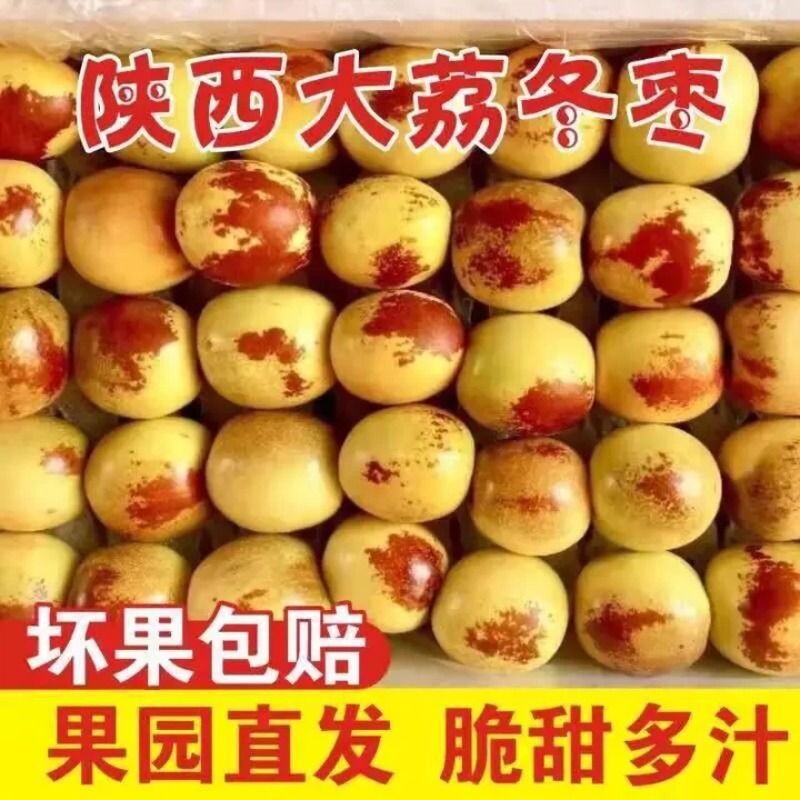 陕西大荔冬枣脆甜冬枣新鲜水果鲜枣好吃新鲜冬枣大枣鲜枣子包邮