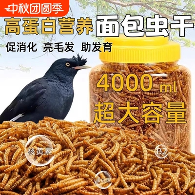 八哥面包虫干促消化亮毛发助发育
