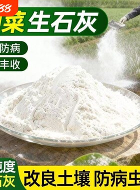 石灰粉杀虫种菜专用生石灰消毒干燥剂菜地驱蛇粉土壤杀菌病虫害